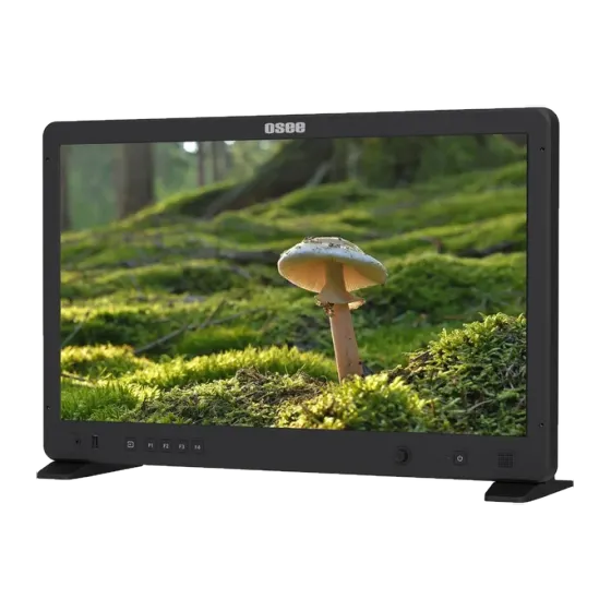 Moniteur Osee Mega 22s 21.5''