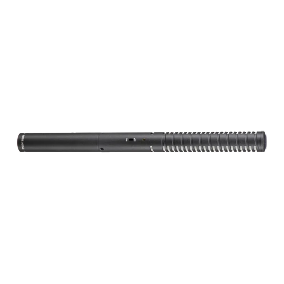 Micro RODE NTG-2