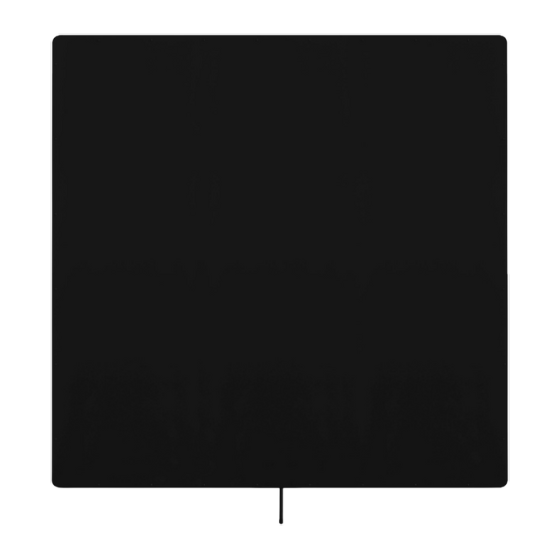 Flag 4' x 4'