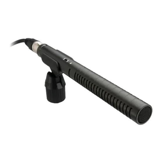 Micro RODE NTG-1