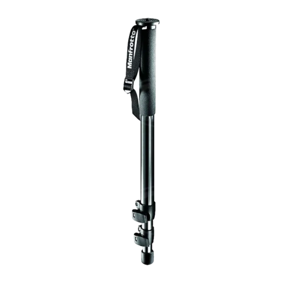Monopod Manfrotto 681B